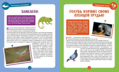 Невероятные животные - Фото 4