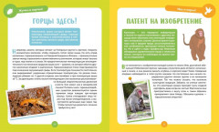 Невероятные животные - Фото 6