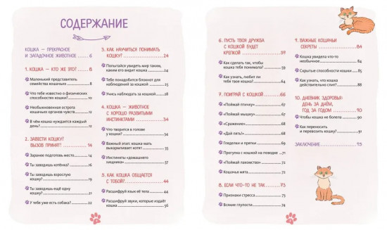 Я и моя кошка. Как понять питомца и стать ему другом