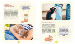 Я и моя кошка. Как понять питомца и стать ему другом - Фото 5