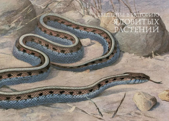 Яды. Секретная сила растений