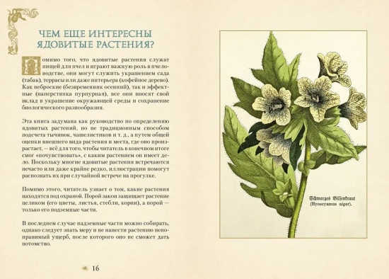 Яды. Секретная сила растений