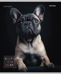 Комплект тетрадей «Портретные фото собак» - Фото 2