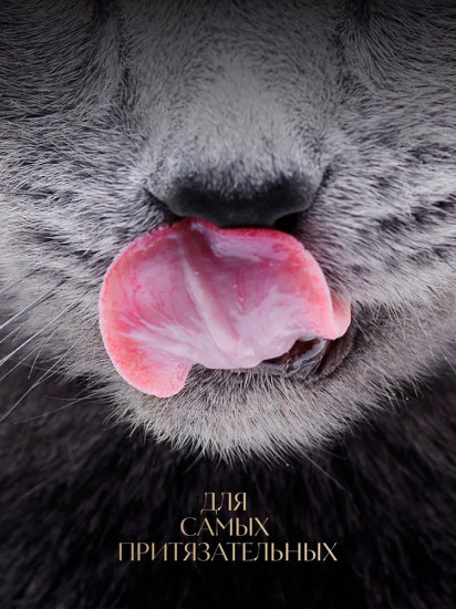 Корм влажный для взрослых кошек с добавлением форели «Ароматная уха»