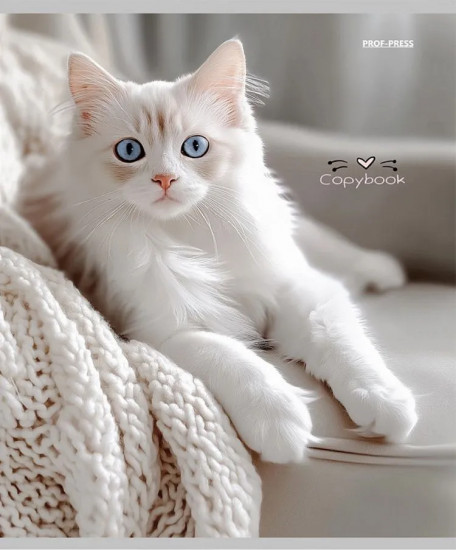 Комплект тетрадей «Разные домашние коты»