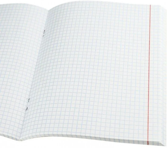 Комплект тетрадей «Девушки и дикие кошачьи»