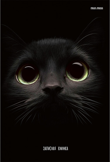 Книжка записная «Взгляд кота»