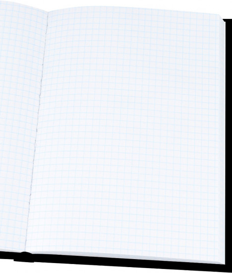 Книжка записная «Взгляд кота»