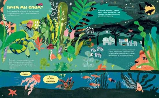 Почему мы спим?