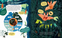 Почему мы спим? - Фото 5