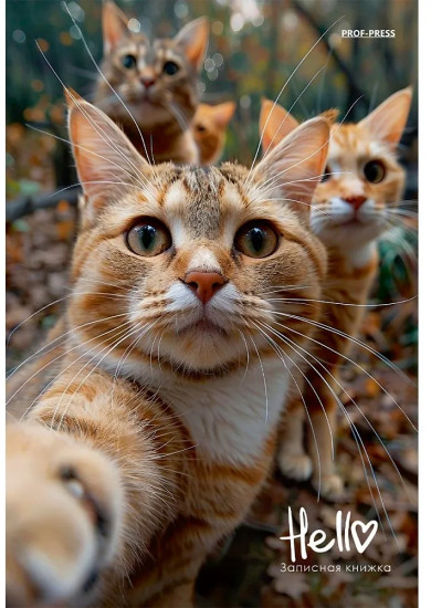 Книжка записная «Фотография котиков»