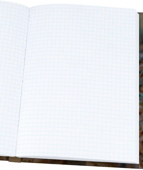 Книжка записная «Фотография котиков»