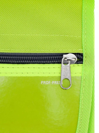 Папка для труда «Лягушки»