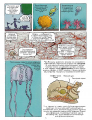 Самое умное животное на Земле - Фото 7