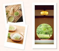 Нагоми. Книга по психологии - Фото 5