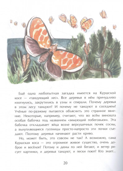 Калининград. Там, где танцует лес