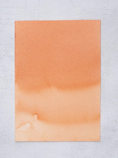 Тушь для рисования и каллиграфии, облепиха