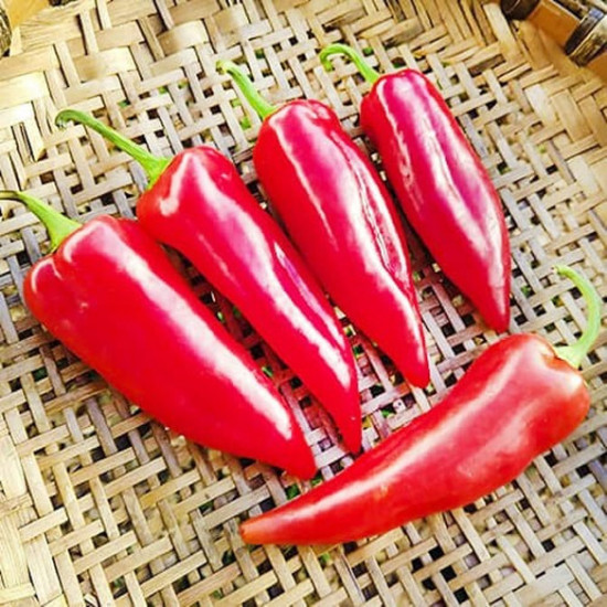 Коллекционные семена перца «Пастух»