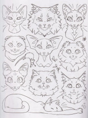 Раскрась кота! - Фото 2