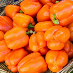 Семена перца «Апельсиновый сок» - Фото 1