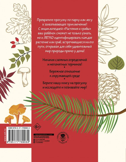 Окружающий мир. Растения и грибы