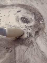 Набор сменных спонжей для растушевки пастели - Фото 8