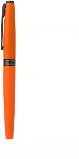 Ручка перьевая с конвертером и картириджами