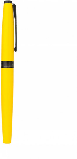 Ручка перьевая с конвертером и картириджами