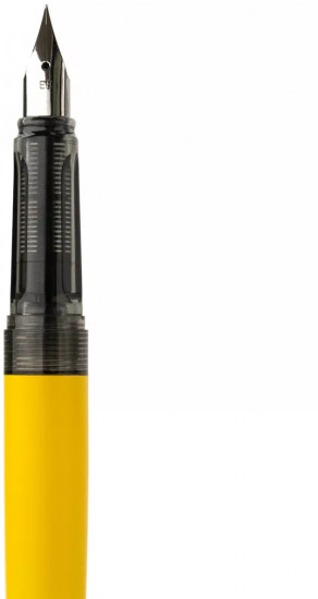 Ручка перьевая с конвертером и картириджами