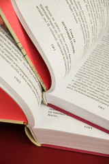 Динка. Динка прощается с детством. Комплект из 2 книг - Фото 9