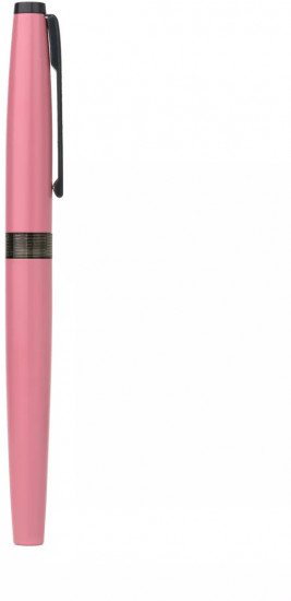 Ручка перьевая с конвертером и картириджами