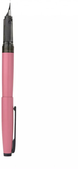 Ручка перьевая с конвертером и картириджами