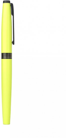 Ручка перьевая с конвертером и картириджами