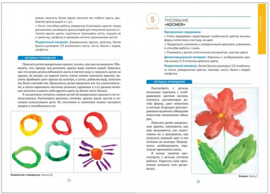 Изобразительная деятельность в детском саду. 5-6 лет