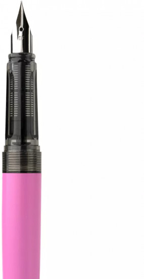 Ручка перьевая с конвертером и картириджами