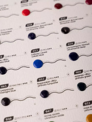 Дот-карта акварели «Veroneze» - Фото 15