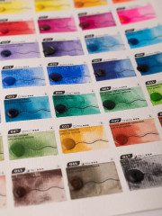 Дот-карта акварели «Veroneze» - Фото 16