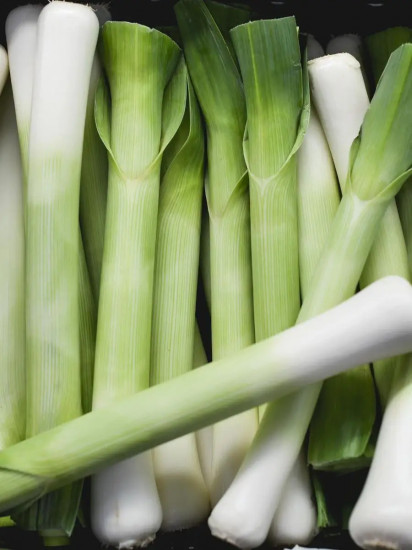 Семена лука порея «Карантанский»