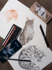 Набор графических материалов - Фото 8