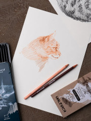 Набор графических материалов - Фото 9