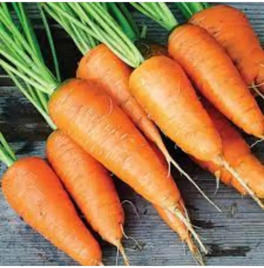 Семена моркови «Грильяж»