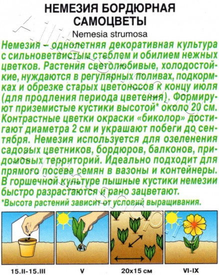 Семена немезии бордюрной «Самоцветы»