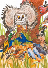 Удэгейские сказки - Фото 4