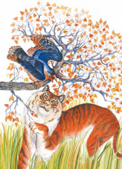 Удэгейские сказки - Фото 6