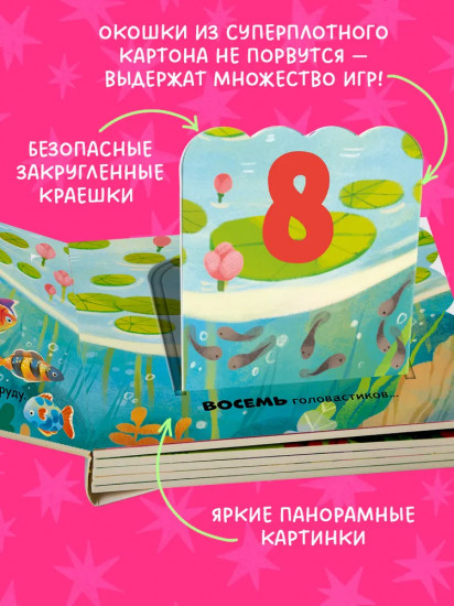 Первый счёт. Книжка с окошками