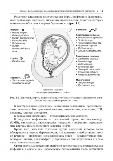 Инфекции в период беременности