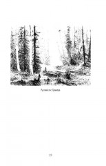 Граф Орлов. Подлинные мемуары - Фото 11