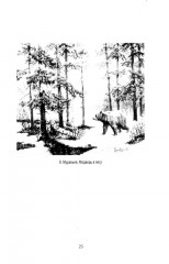 Граф Орлов. Подлинные мемуары - Фото 13