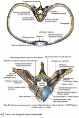 Боли в спине. Применение традиционной, комплементарной и интегративной медицины - Фото 8