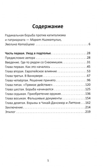 Прямое действие. Мемуары городской партизанки